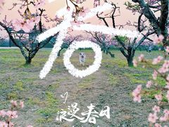 -桃花岛景观公园