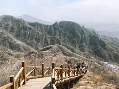 -大岭沟猕猴桃谷风景区