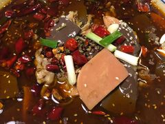 -付掌柜在成都·热炒砂锅集(金禾店)