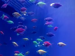 -华夏文旅海洋公园