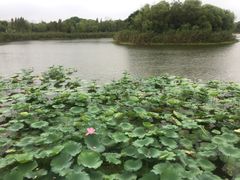 -上海市保健医疗中心(华东疗养院)