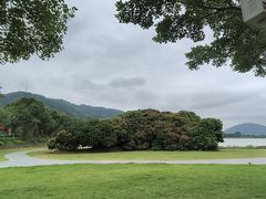 -风云岭森林公园