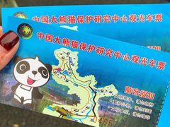 -都江堰中华大熊猫苑