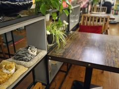 大堂-69艺术餐厅(宋庄店)