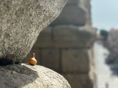 -塞哥维亚输水道