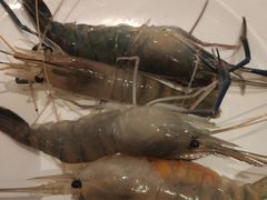 -诱货海鲜自助火锅(爱琴海购物公园东百店)