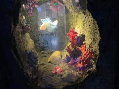 -上海儿童博物馆
