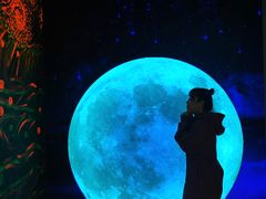 -重庆梵高星空艺术馆(解放碑旗舰店)