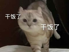 -八两八金·莱芜特色炒鸡(市南漳浦路店)