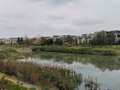 -两河城市森林公园