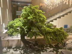 -华夏良子·足道SPA艾灸(翠微店)