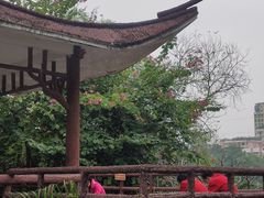 -晓港公园