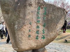 -香雪海