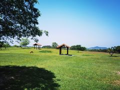 -良渚古城遗址公园