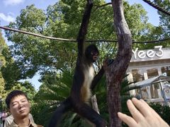 -上海野生动物园老虎餐厅