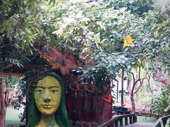 -呀路古热带植物园
