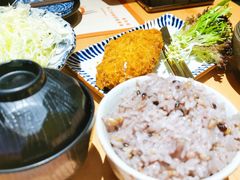 经典胜利猪排套餐-堂本家洋食别馆·炸猪排(中心城店)