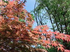 -太白山御龙湾温泉