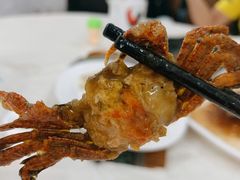 -德云居