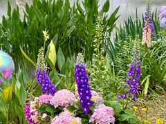 -人民公园(罗湖区)