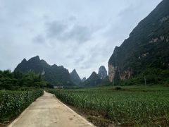 -明仕田园