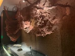 -青螺餐厅·家宴(松雅湖店)