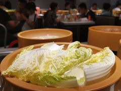 娃娃菜-龍歌自助小火锅(崂山丽达店)