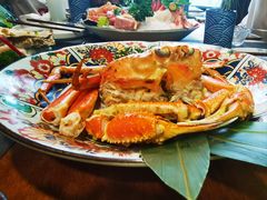 -森味薪火烧•烧鸟居酒屋•日本料理(望京店)
