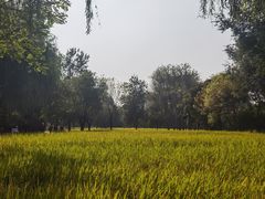 -北坞公园