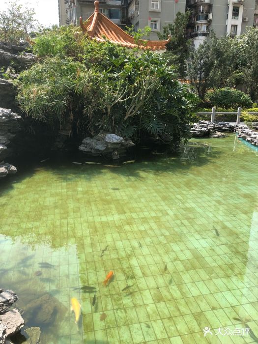 花城公园-图片-澳门景点-大众点评网