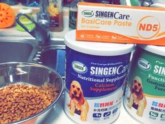 -翊宠yipet猫狗购宠庄园犬舍•猫舍