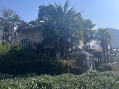 -野蔓果·山野菜(西湖景区·龙井茶田店)