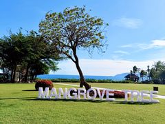 -亚龙湾中心广场