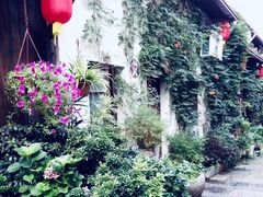 -运河游船(武林门码头)