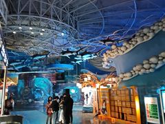 -烟台海昌鲸鲨海洋公园