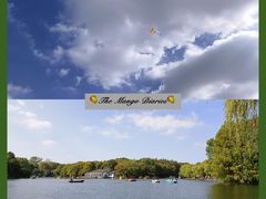 -上海共青森林公园