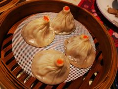 -点都德·毕德寮