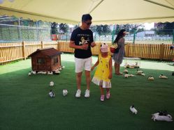 -萌宠亲子动物乐园(槐房万达店)