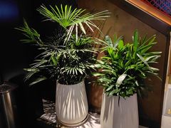 -喜湘宴·精致湖南菜(和平西桥店)