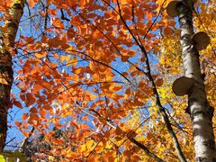 -叠溪松坪沟景区