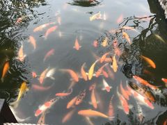 -厦门日月谷温泉渡假村