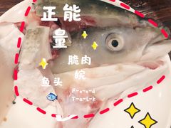 脆肉鲩鱼头-正能量脆肉鲩火锅