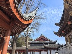 -上海东林寺(金山区)