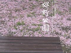 -嘉北郊野公园