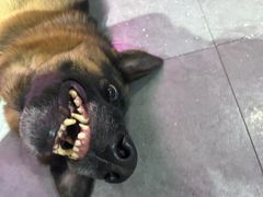 -KingBull私教健身&格斗订制(龙井商业中心店)