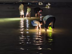 -秦皇岛野生动物园
