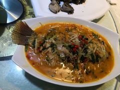 -大笮风(体育馆总店)