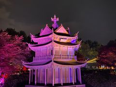 -岳阳楼景区