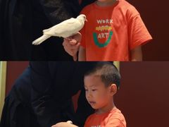 -沉浸式亲子魔术秀-魔大星爆笑小剧场
