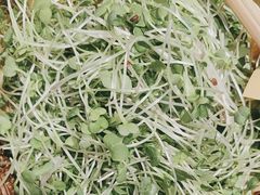 -洞庭土菜馆(天河北总店)